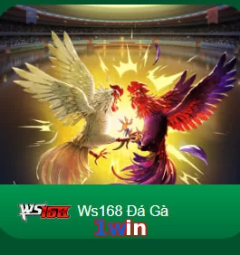 1win